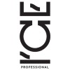 ICE Professional